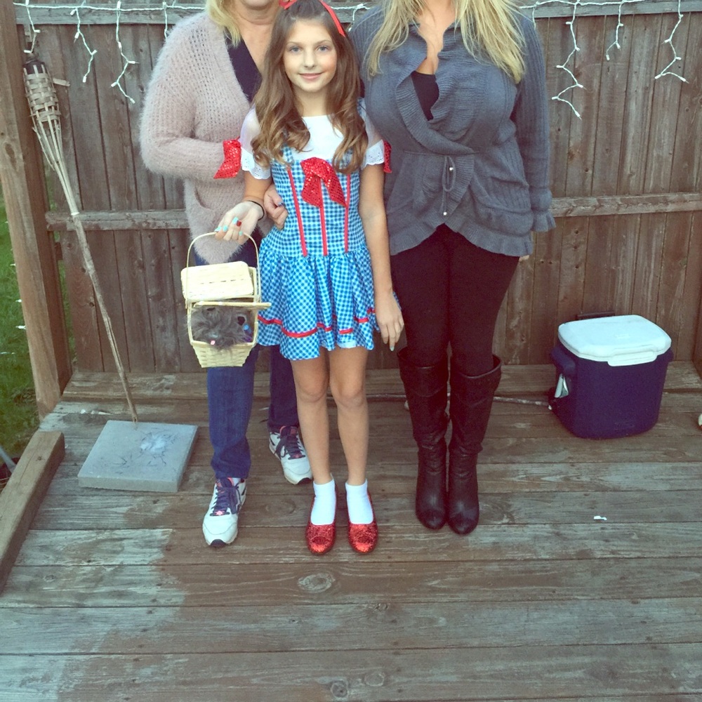 Wizard of Oz Dorothy Costume WITH Ruby Slippers